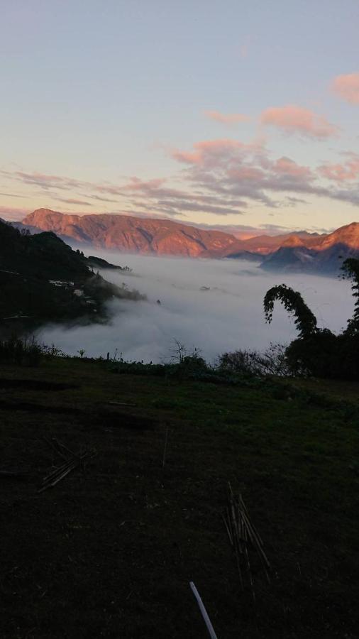 Ming Camphor Homestay Meishan Dış mekan fotoğraf