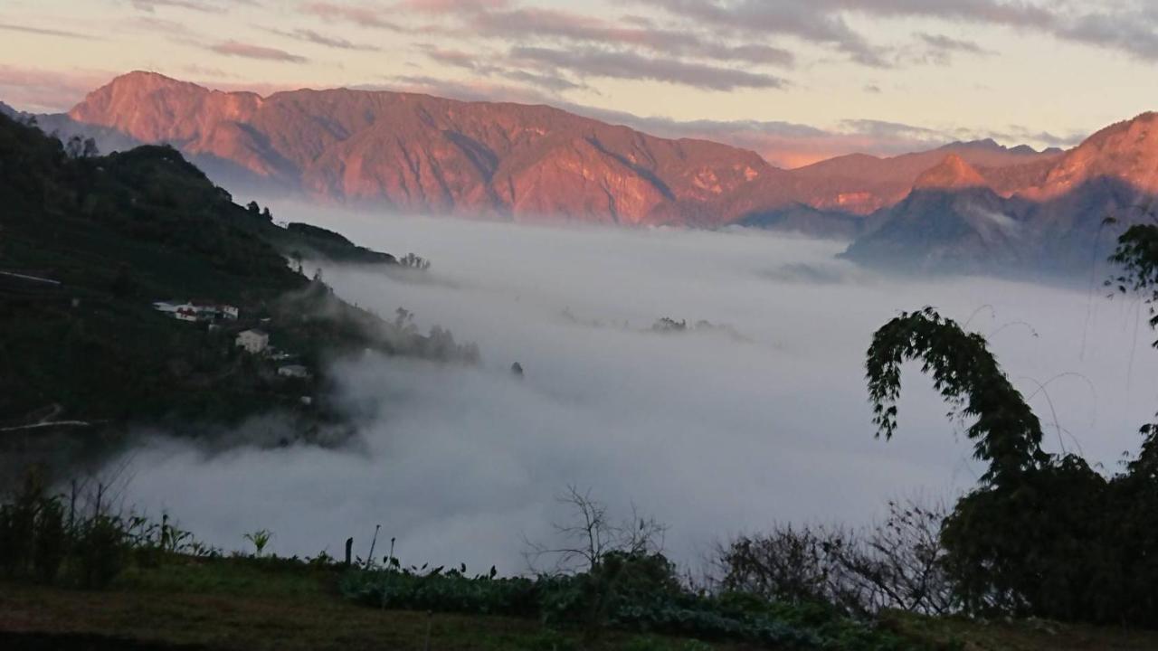 Ming Camphor Homestay Meishan Dış mekan fotoğraf