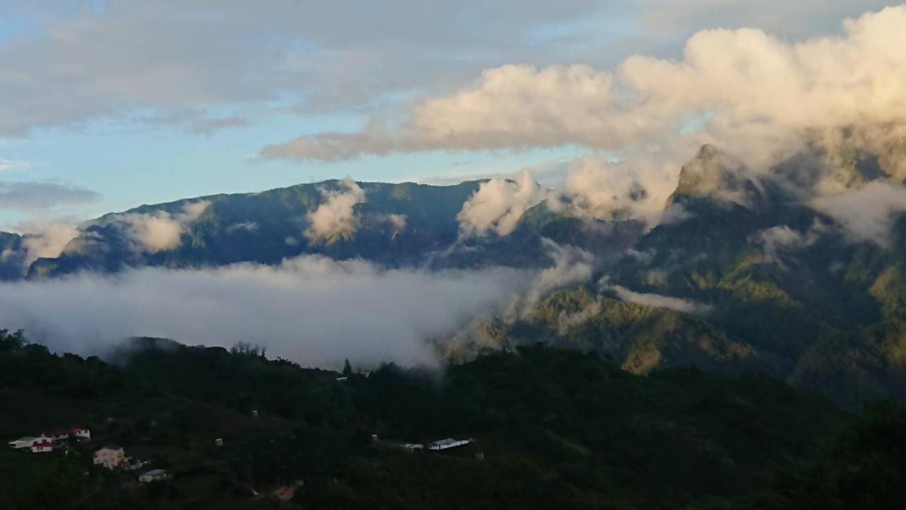 Ming Camphor Homestay Meishan Dış mekan fotoğraf