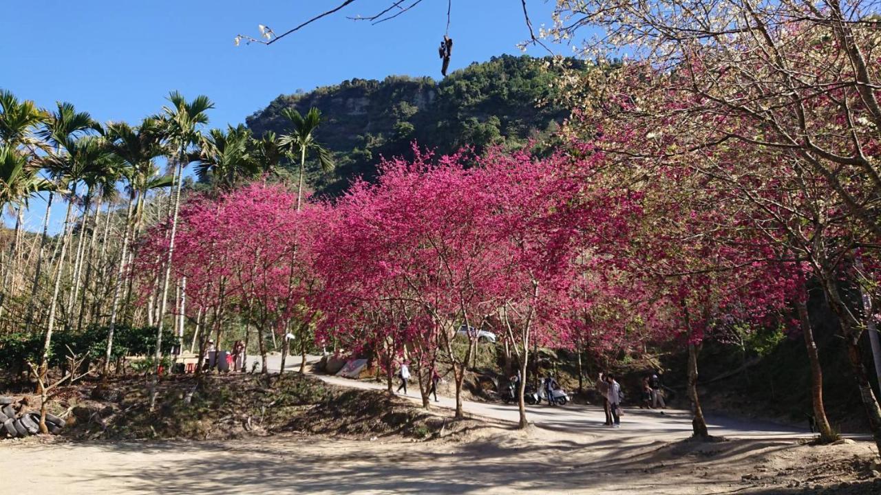 Ming Camphor Homestay Meishan Dış mekan fotoğraf